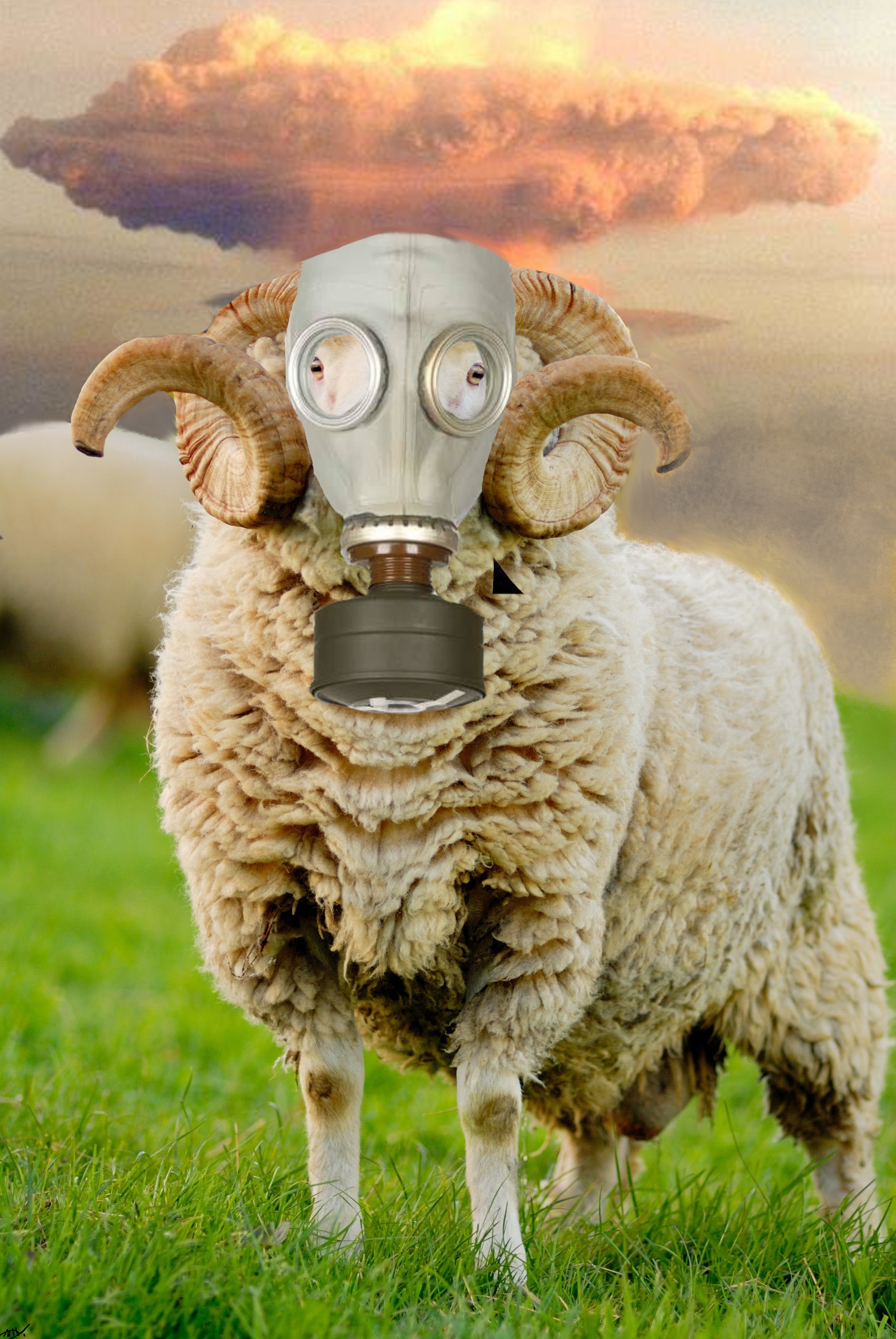 ramgasmask